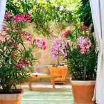 Gracin By Interhome